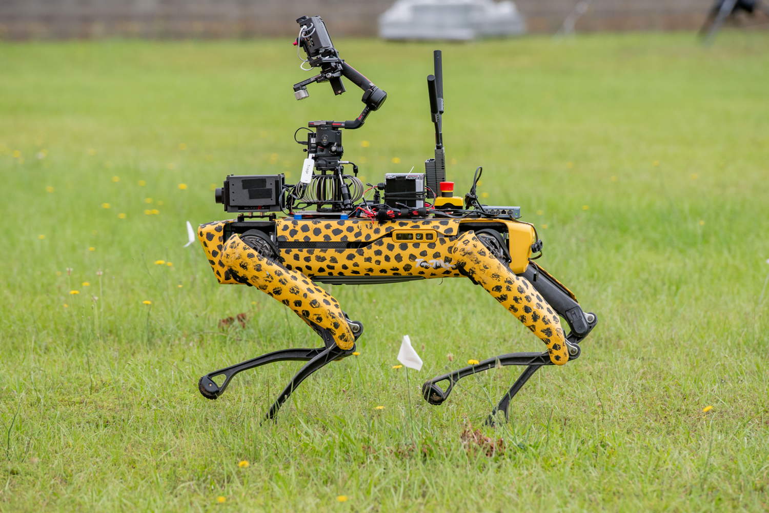 UGV with Cheetah pattern on course